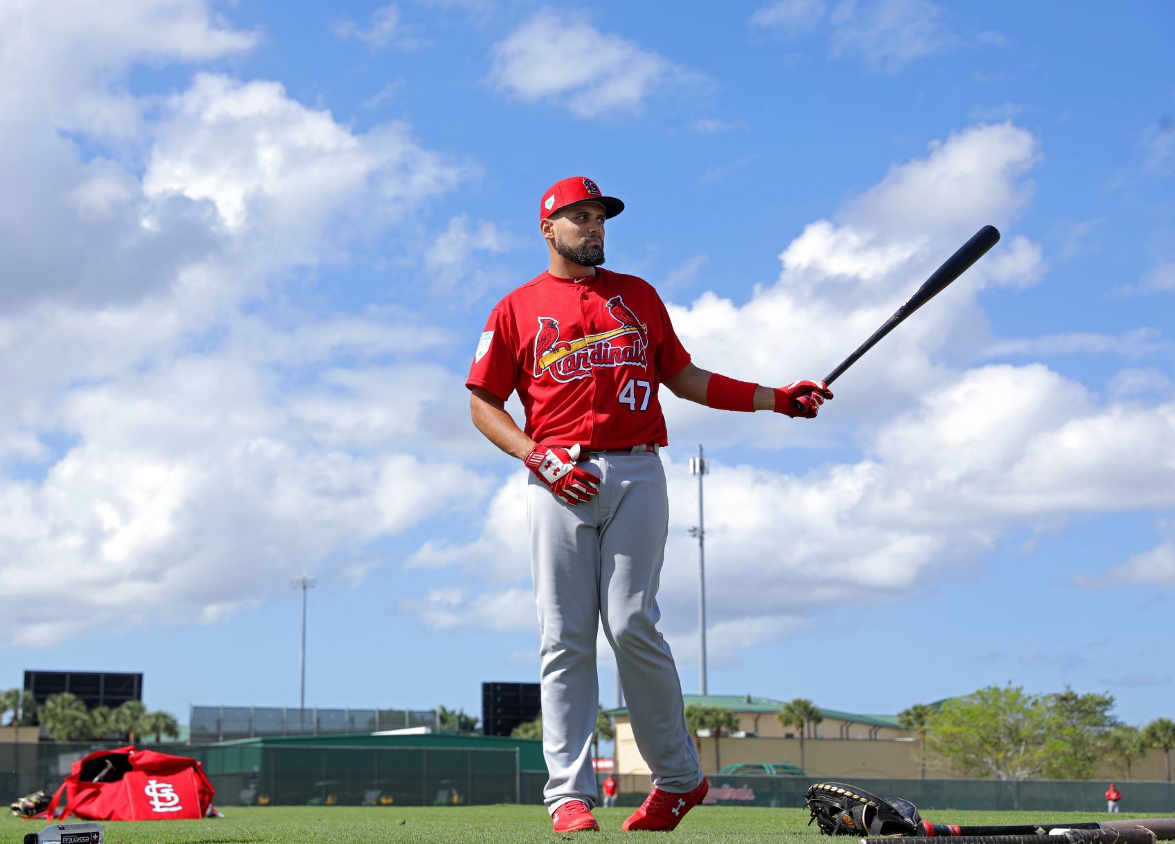 Cardinals spring training continues